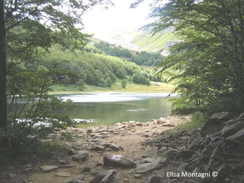 LAGO BACCIO: LAGO 3' IMMAGINE